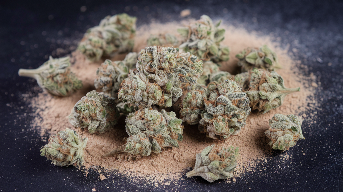 Everything You Need to Know About Kief: A Comprehensive Guide for Cannabis Enthusiasts