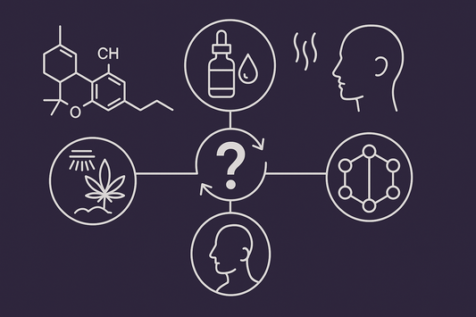 What Really Makes a Cannabis Strain Potent?