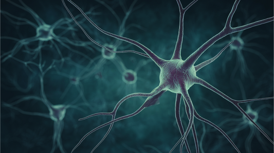 The Endocannabinoid System: The Master Regulator of human Health
