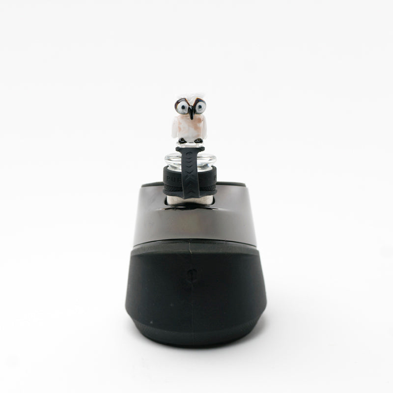 Owl Puffco Peak Glass Carb Cap | Empire Glassworks - Bumpin' Cannabinoids