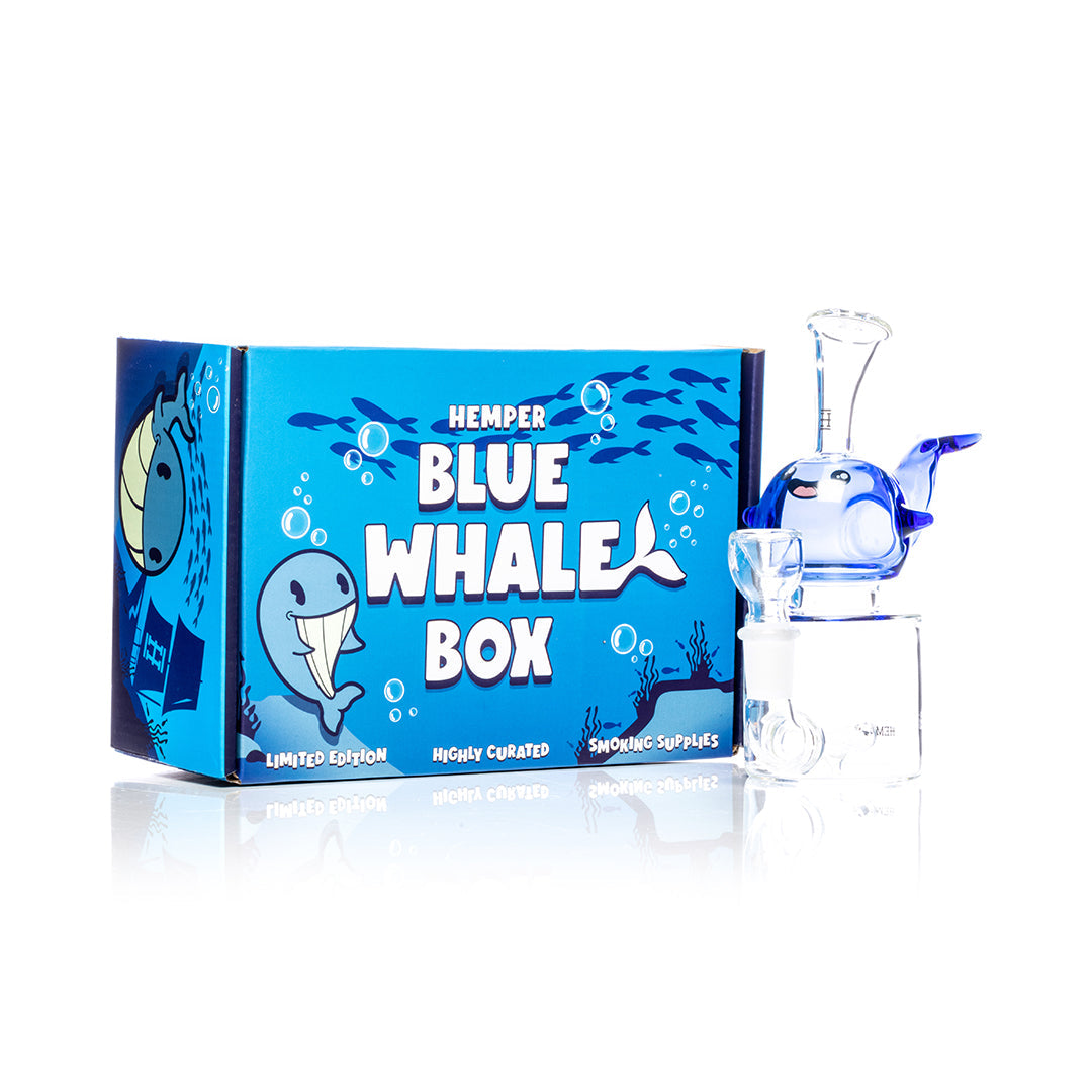 Blue Whale Bong 6.5" | HEMPER - Bumpin' Cannabinoids